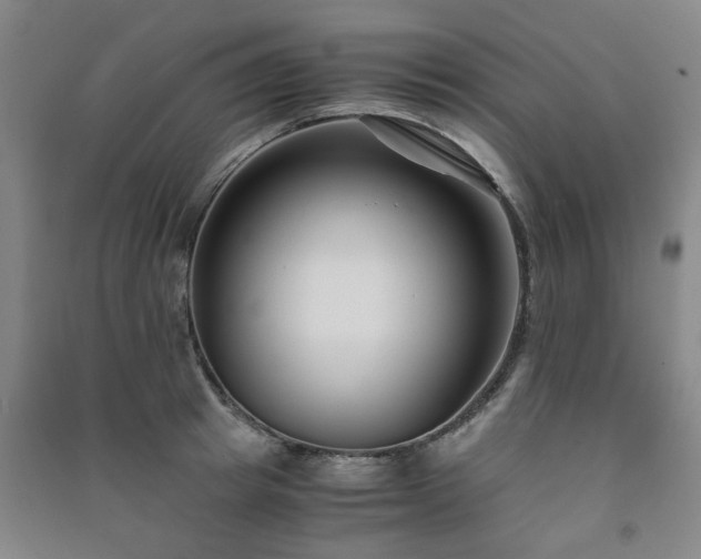 X0000091220849200708161655