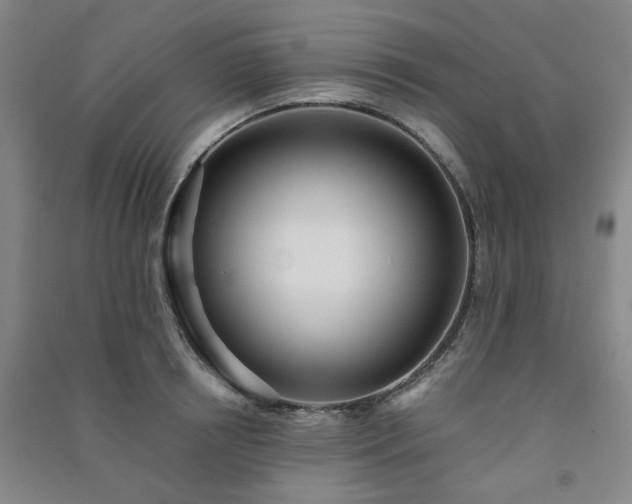 X0000091220850200708161655