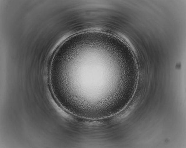 X0000091220851200708161655