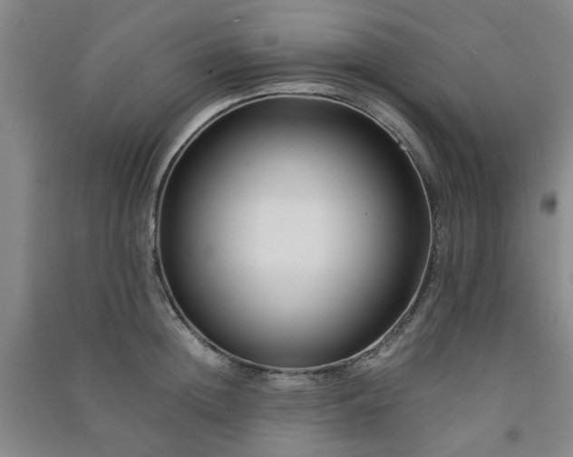 X0000091220852200708161655