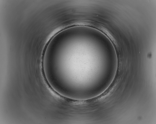 X0000091220853200708161655