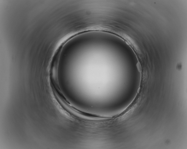 X0000091220854200708161655