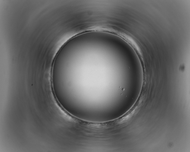 X0000091220855200708161655