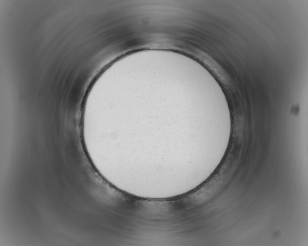 X0000091220856200708161655