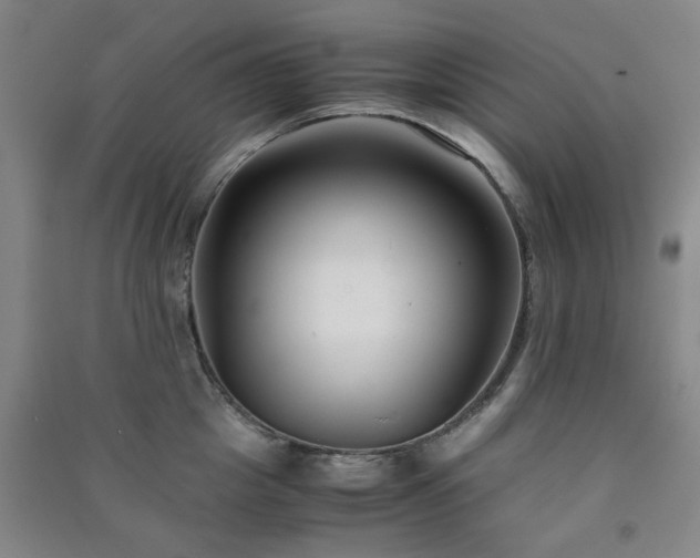 X0000091220857200708161655