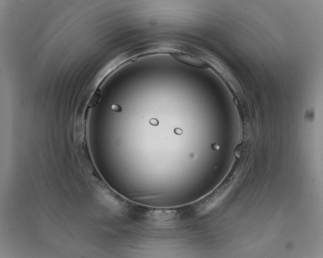 X0000091220858200708161655