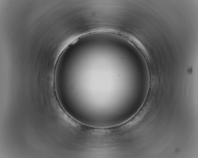 X0000091220860200708161655