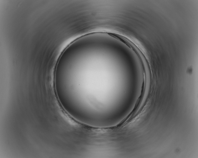 X0000091220862200708161655