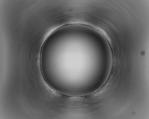 X0000091220863200708161655