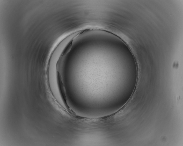 X0000091220864200708161655