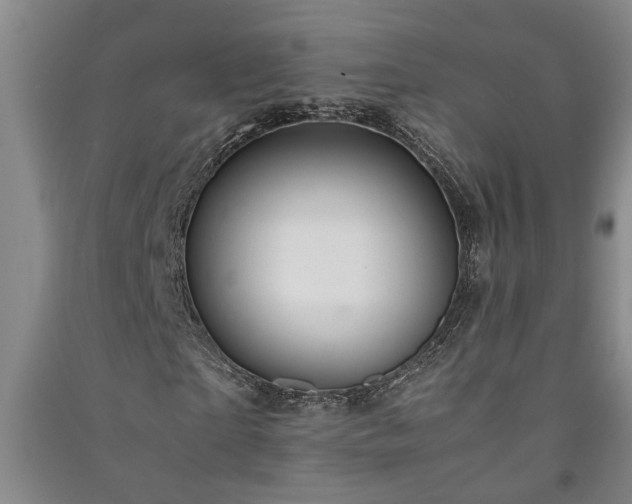 X0000091220865200708161654