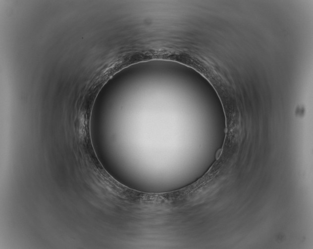 X0000091220866200708161654