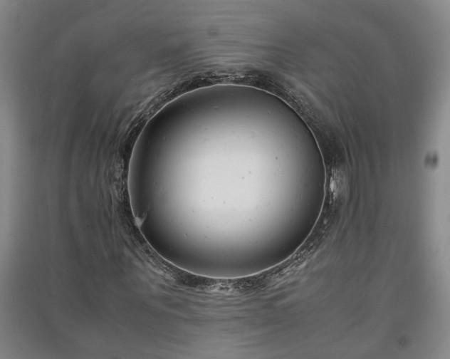 X0000091220867200708161654