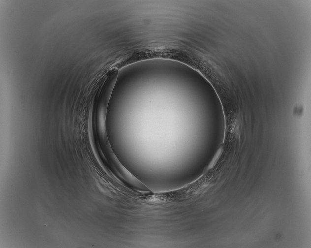 X0000091220868200708161654