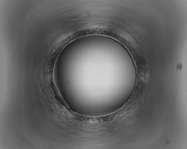 X0000091220869200708161654