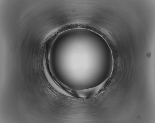 X0000091220872200708161654