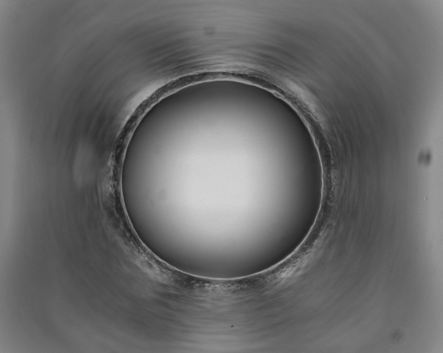 X0000091220875200708161654