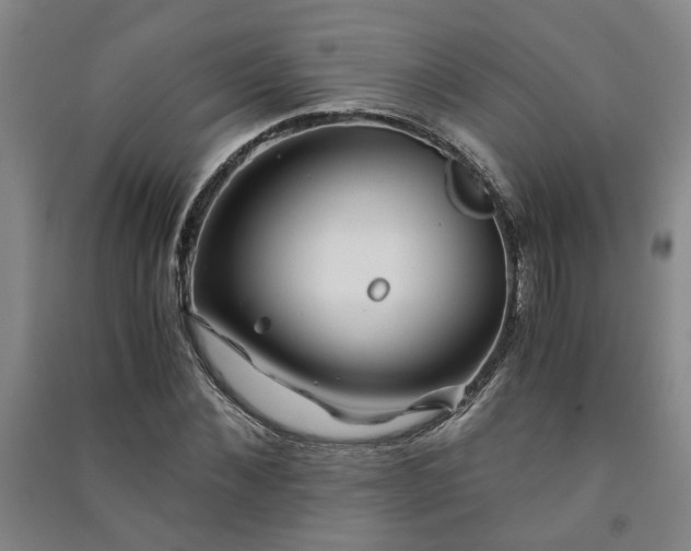 X0000091220876200708161654