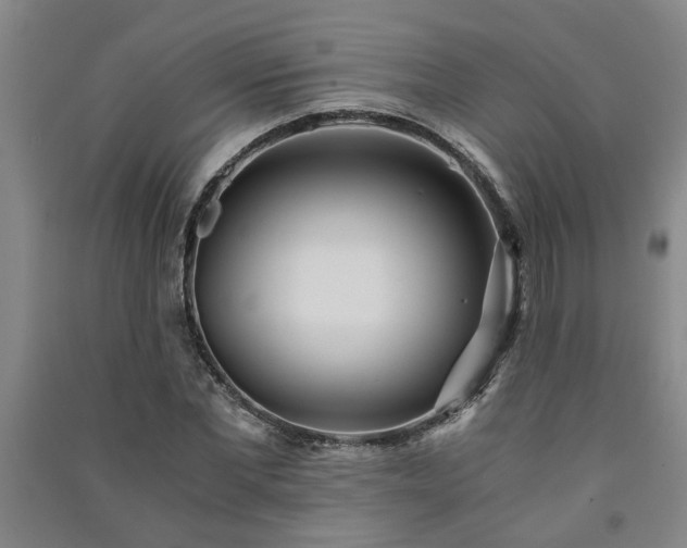 X0000091220877200708161654