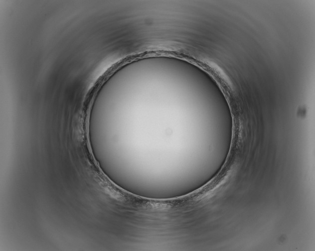 X0000091220878200708161654