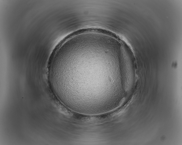 X0000091220879200708161654