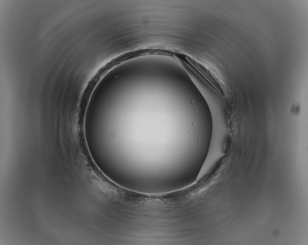 X0000091220880200708161654