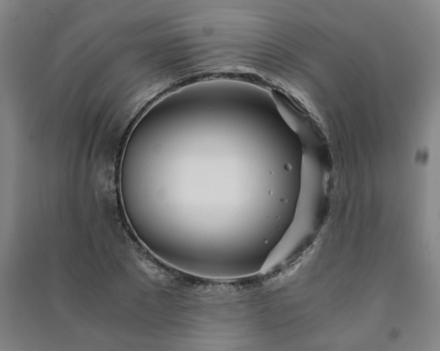 X0000091220881200708161654