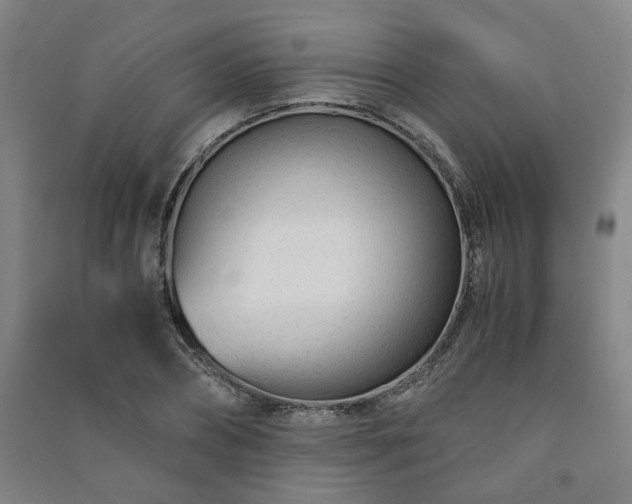 X0000091220882200708161654