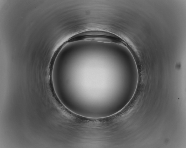 X0000091220885200708161654