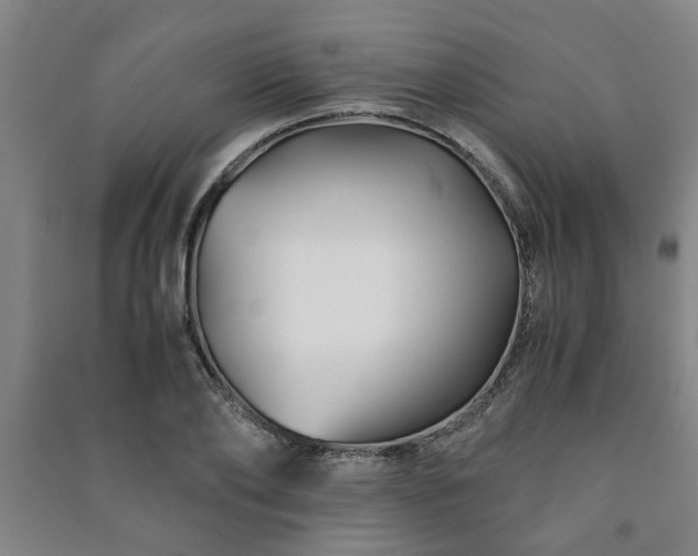 X0000091220886200708161654