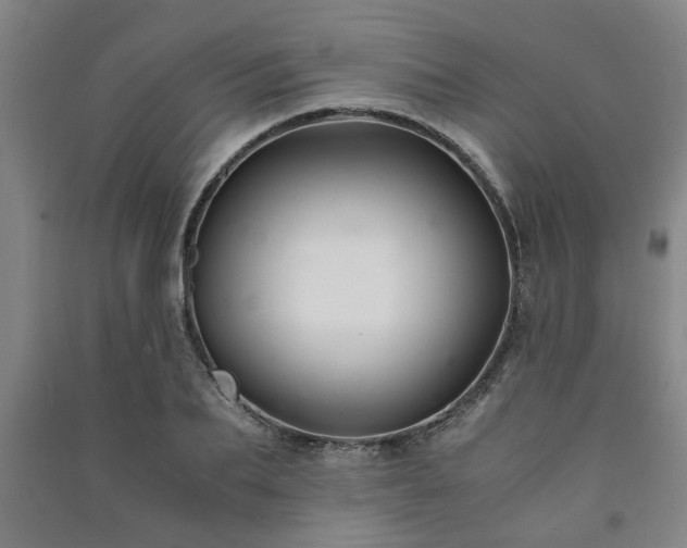 X0000091220887200708161654