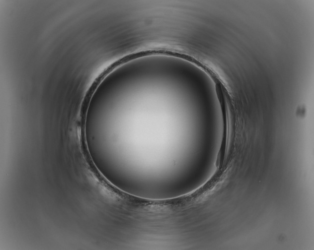 X0000091220888200708161654