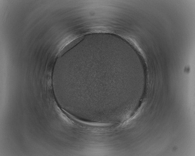 X0000091220889200708161654