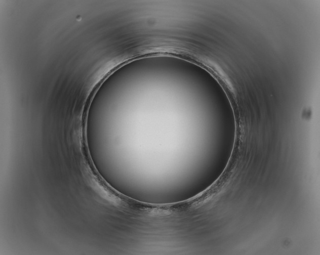 X0000091220890200708161654