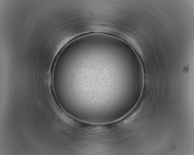 X0000091220891200708161654