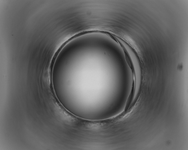 X0000091220892200708161654