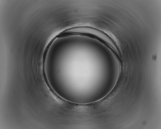 X0000091220894200708161654