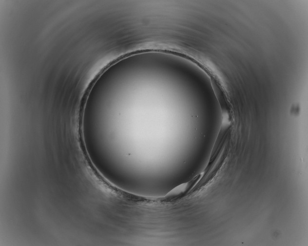 X0000091220896200708161654