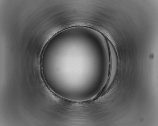 X0000091220898200708161654