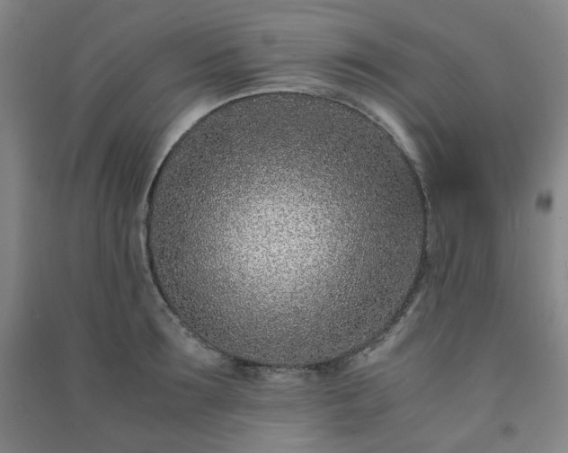 X0000091220899200708161654