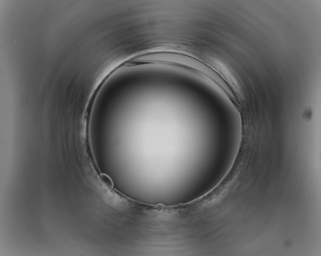 X0000091220900200708161654