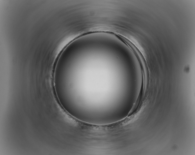 X0000091220901200708161654