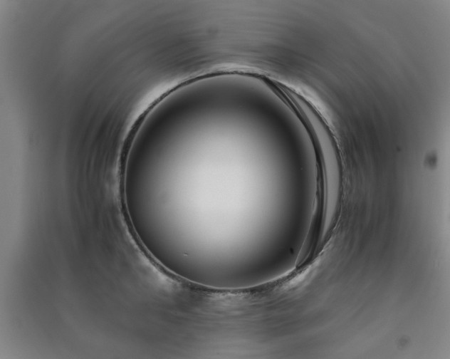 X0000091220902200708161654