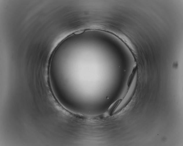 X0000091220904200708161654