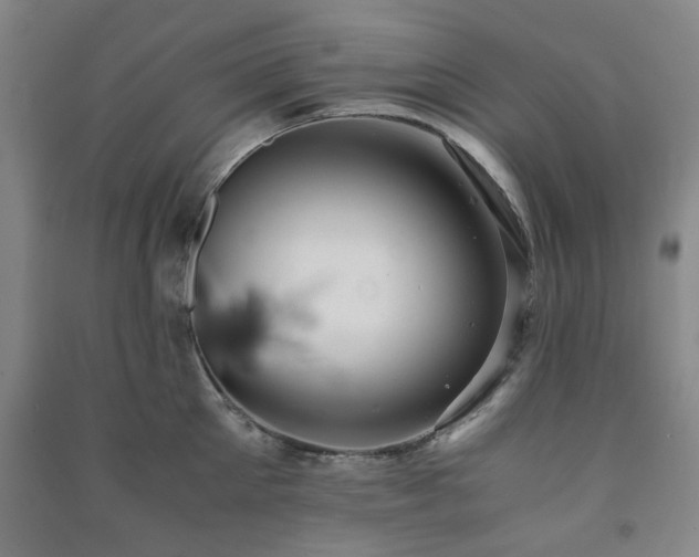 X0000091220905200708161654