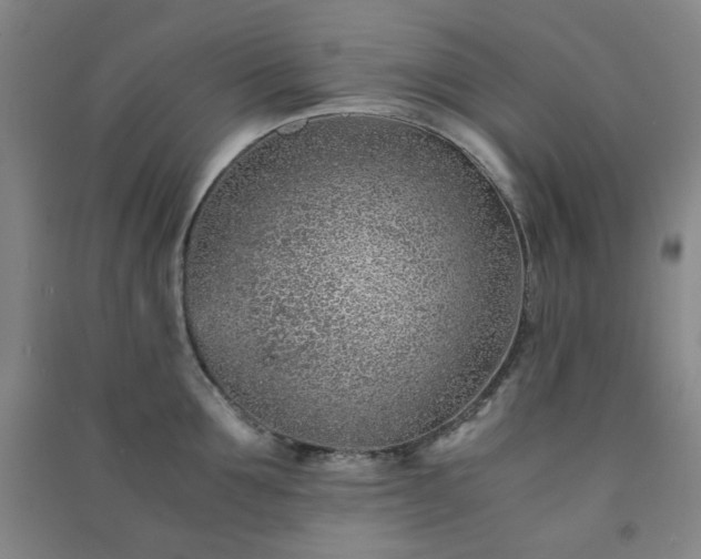 X0000091220907200708161654