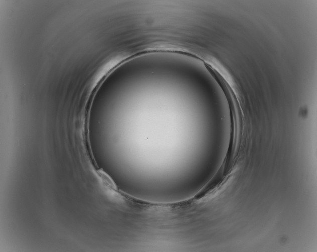 X0000091220909200708161654