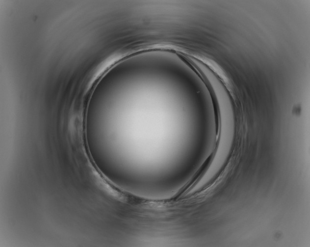 X0000091220910200708161654