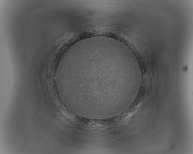 X0000091220913200708161653