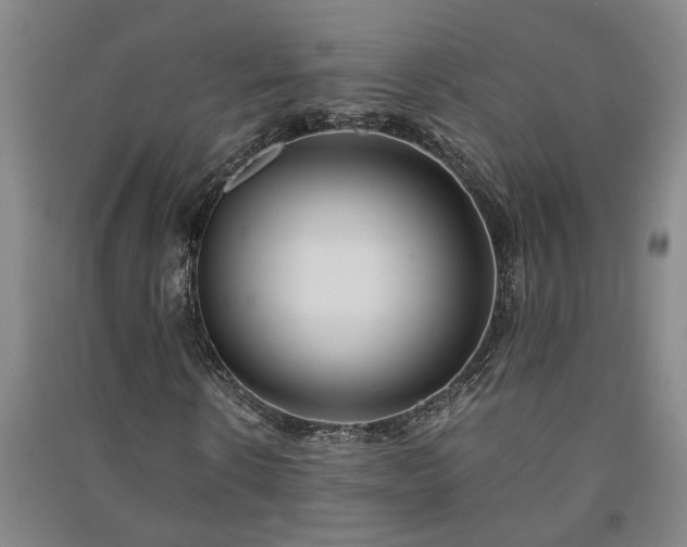 X0000091220914200708161653